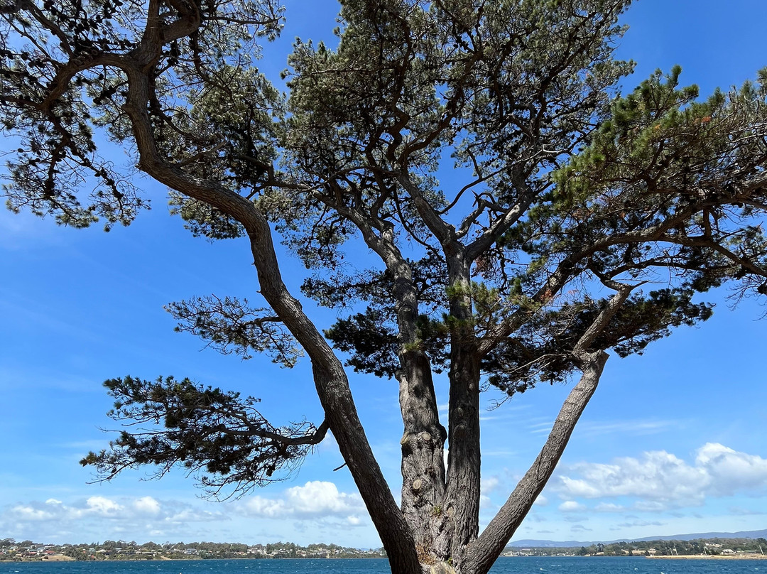 George Town War Memorial-George Town必去景点