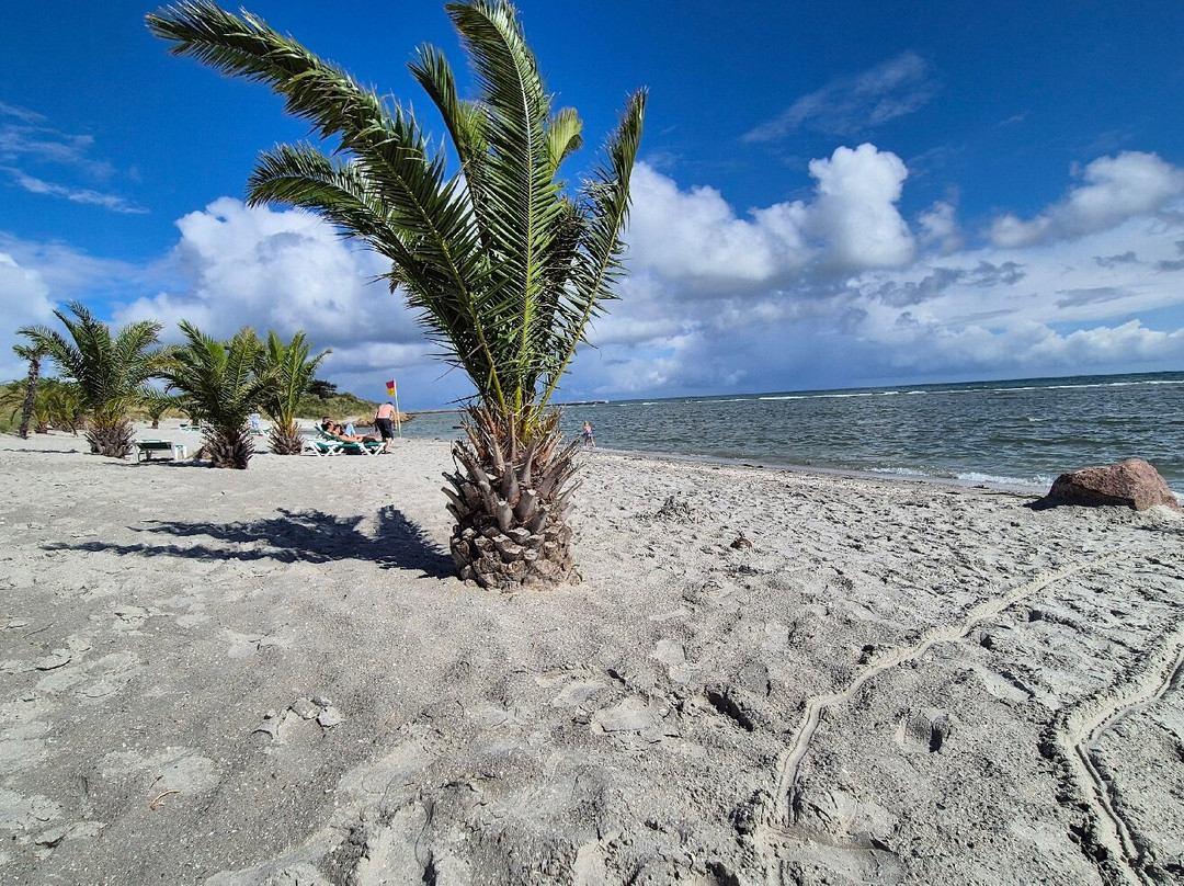 Nordstrand Camping Minigolf-腓特烈港必去景点