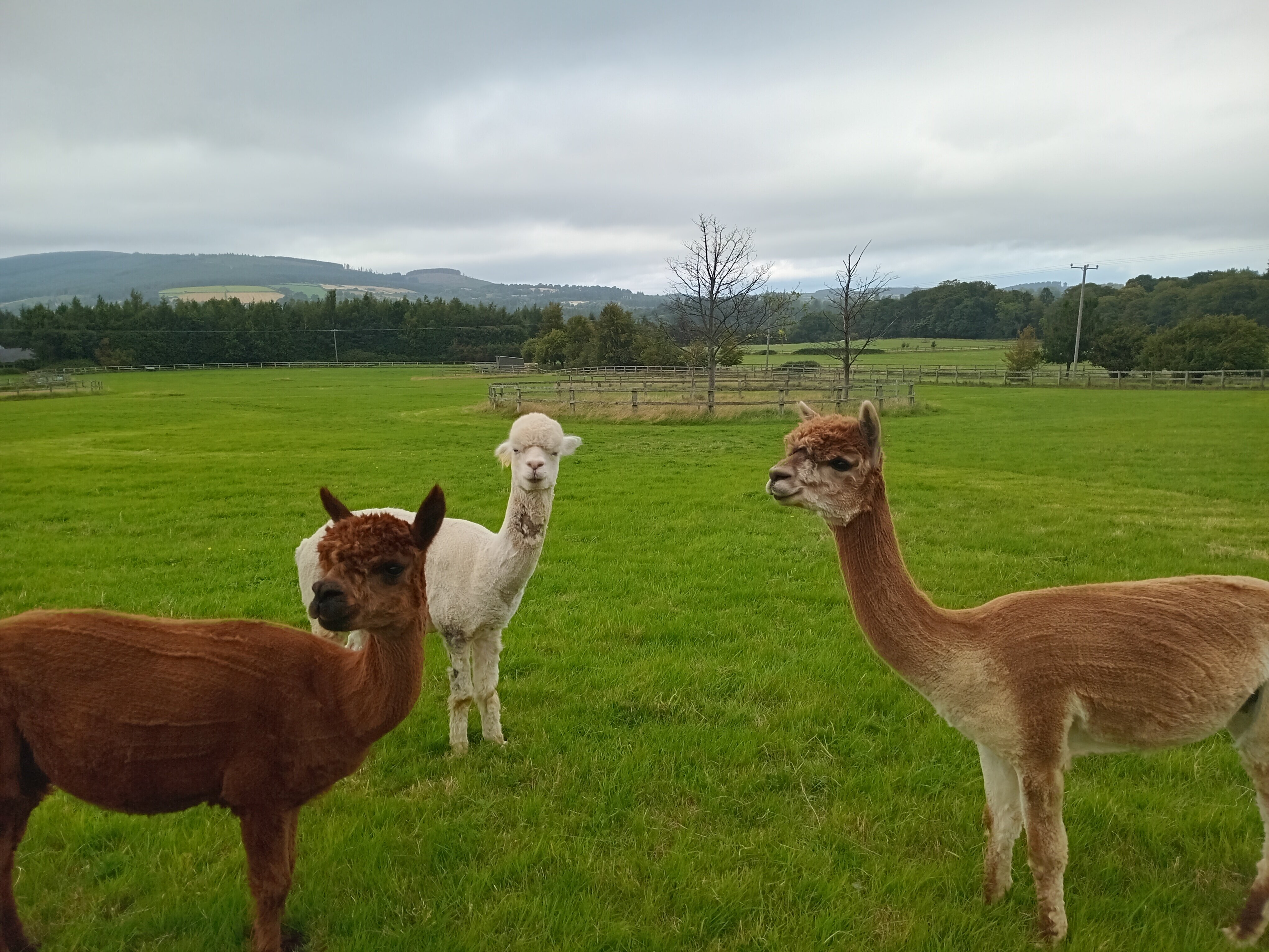 Powerscourt Springs Health Farm-官方