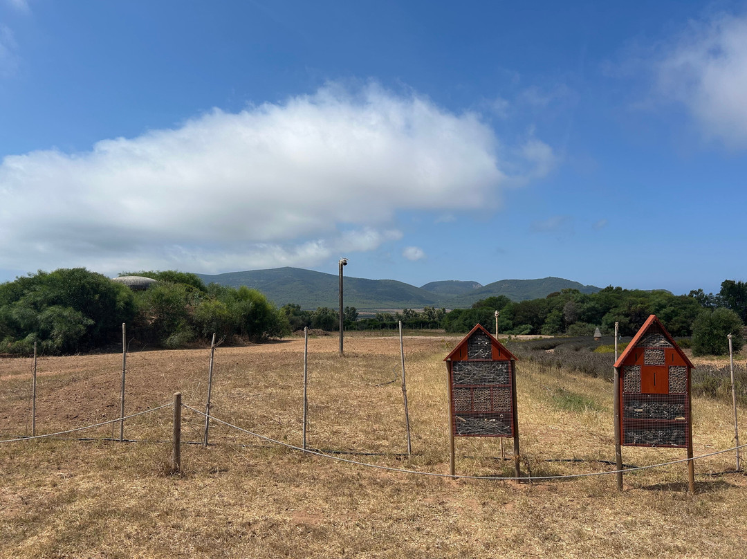 Bee Garden Alghero-阿尔盖罗必去景点