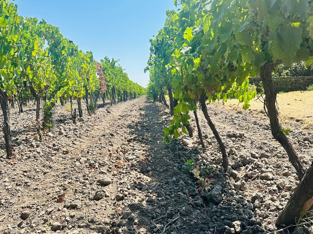 Planeta Sciaranuova Etna-Castiglione di Sicilia必去景点