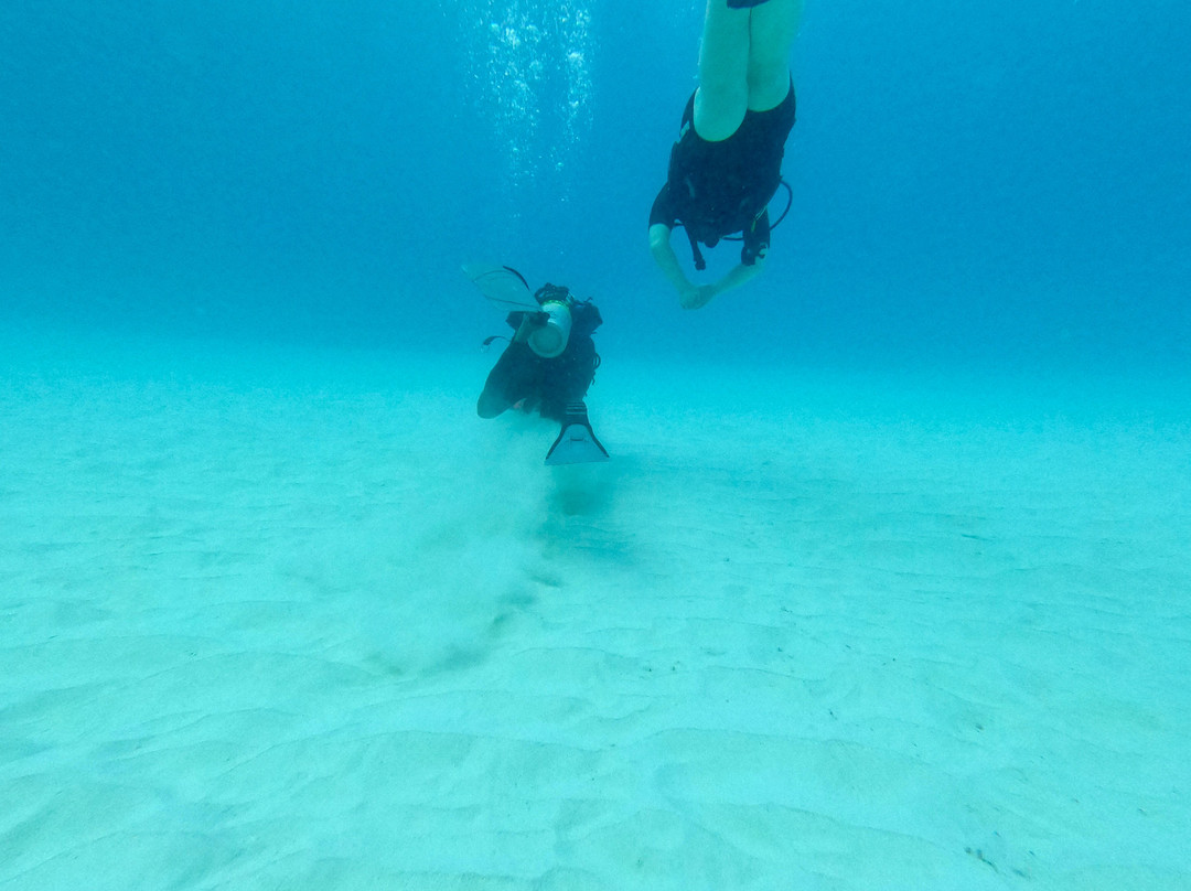 Bigorno Diving Center Mauritius-卓欧毕雪必去景点