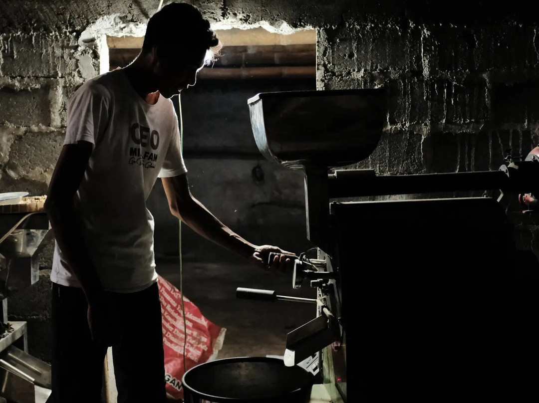 Micofam Lombok Coffee-Sapit必去景点