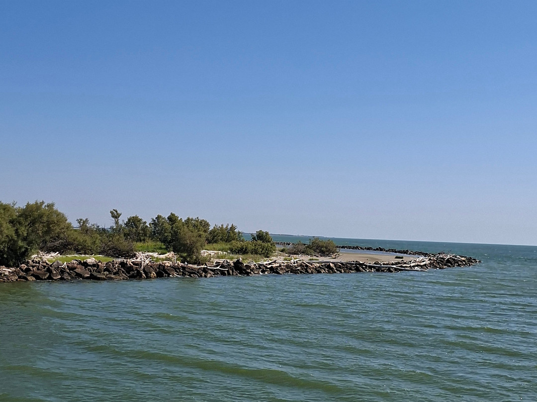 Albatros Escursioni-Porto Garibaldi必去景点