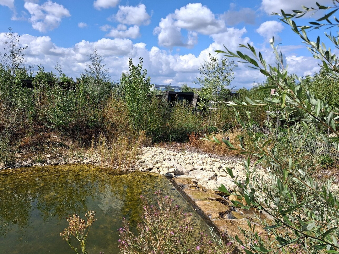 Hôtel Ecolodgee Futuroscope主图