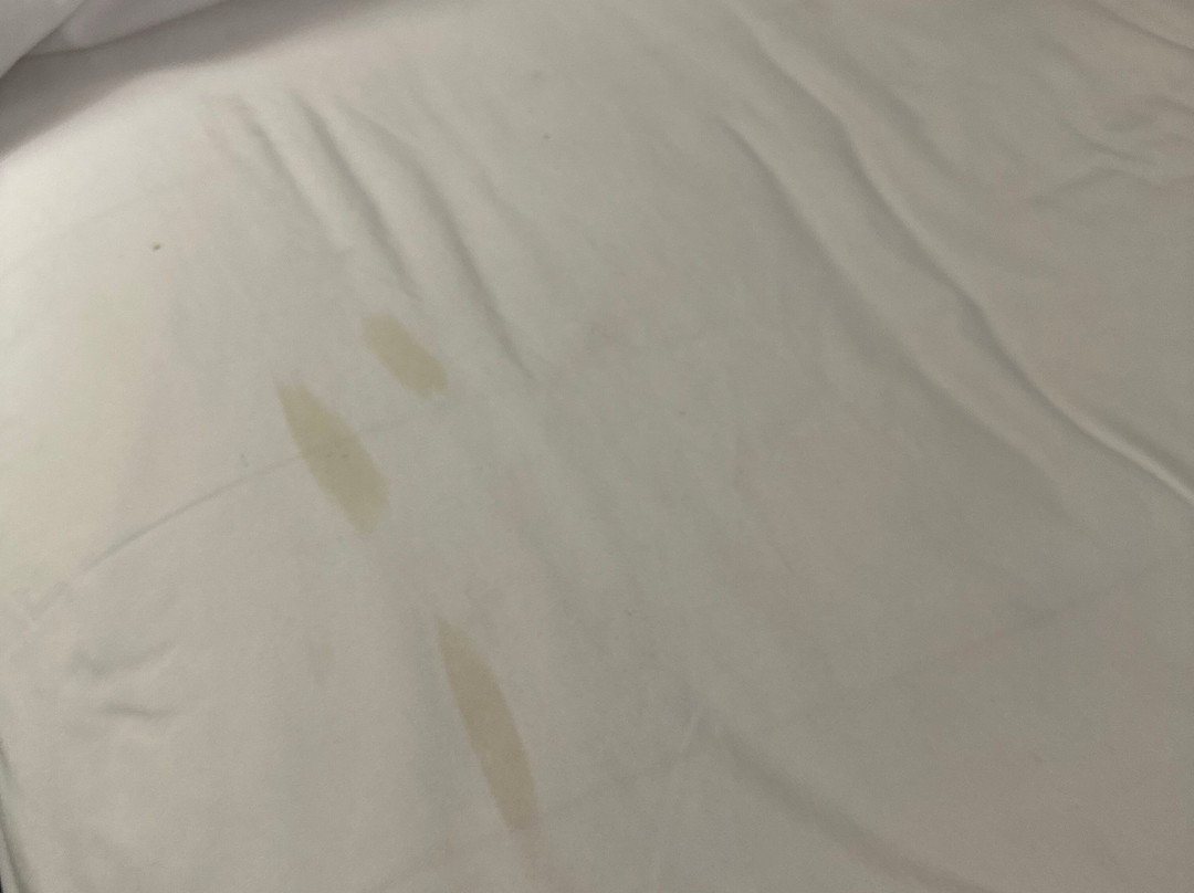 Super 8 by Wyndham Bath Hammondsport Area主图