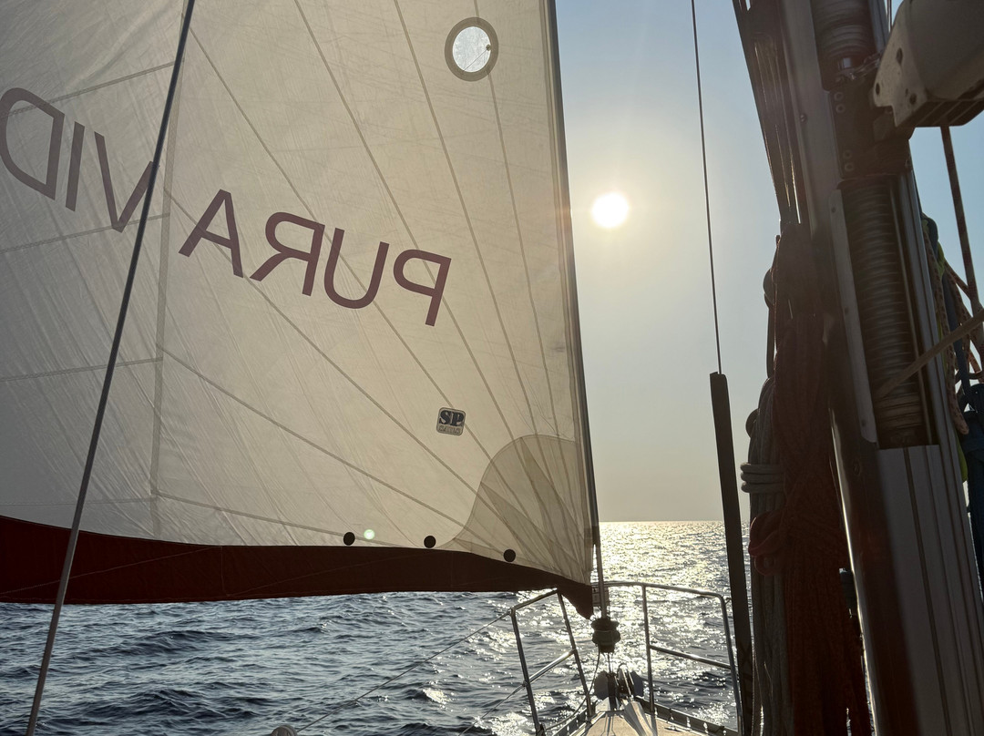 Pura Vida Sailing Mallorca  charter-Port d'Andratx必去景点