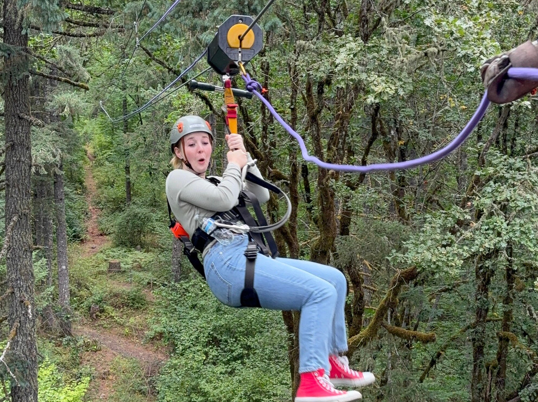 Tree to Tree Adventure Park-Gaston必去景点