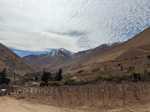 Turismo Delfines-拉塞雷纳必去景点