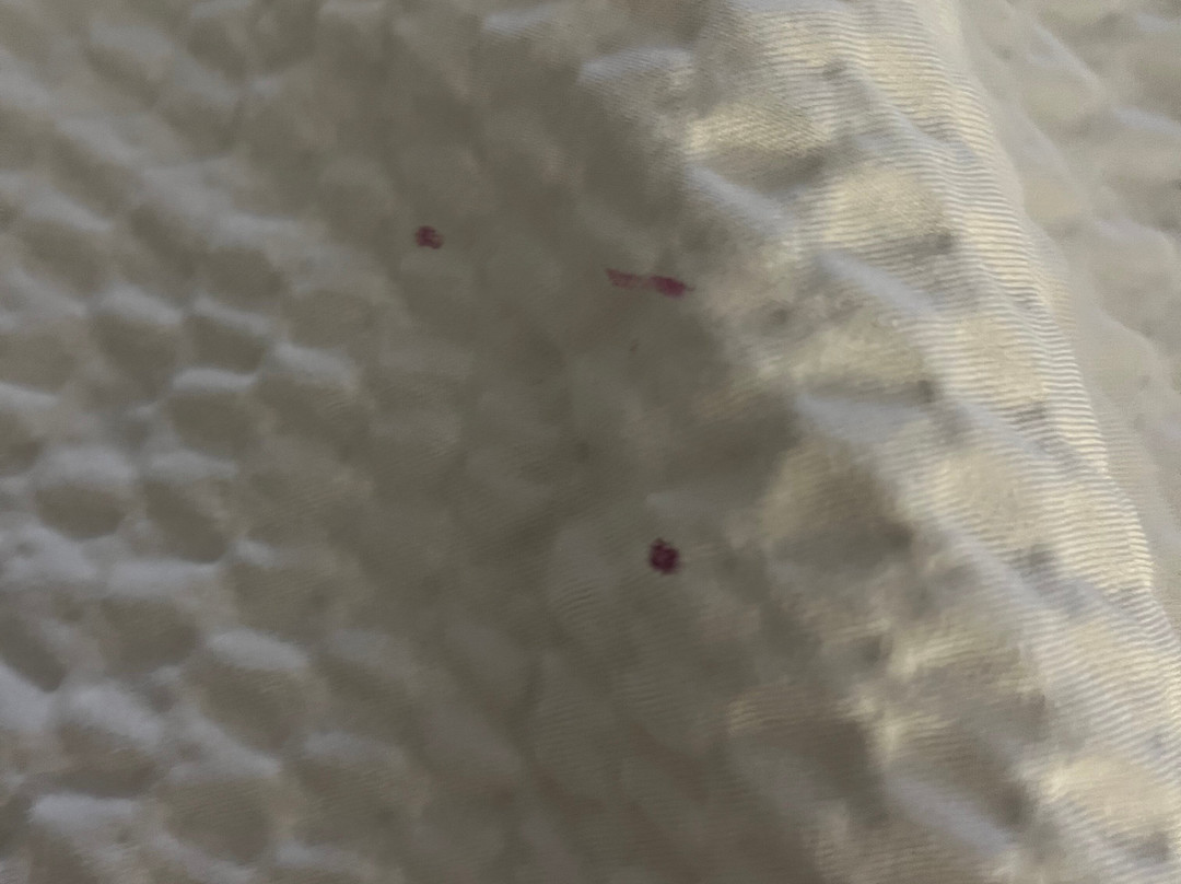 Days Inn by Wyndham Asheville Downtown North主图