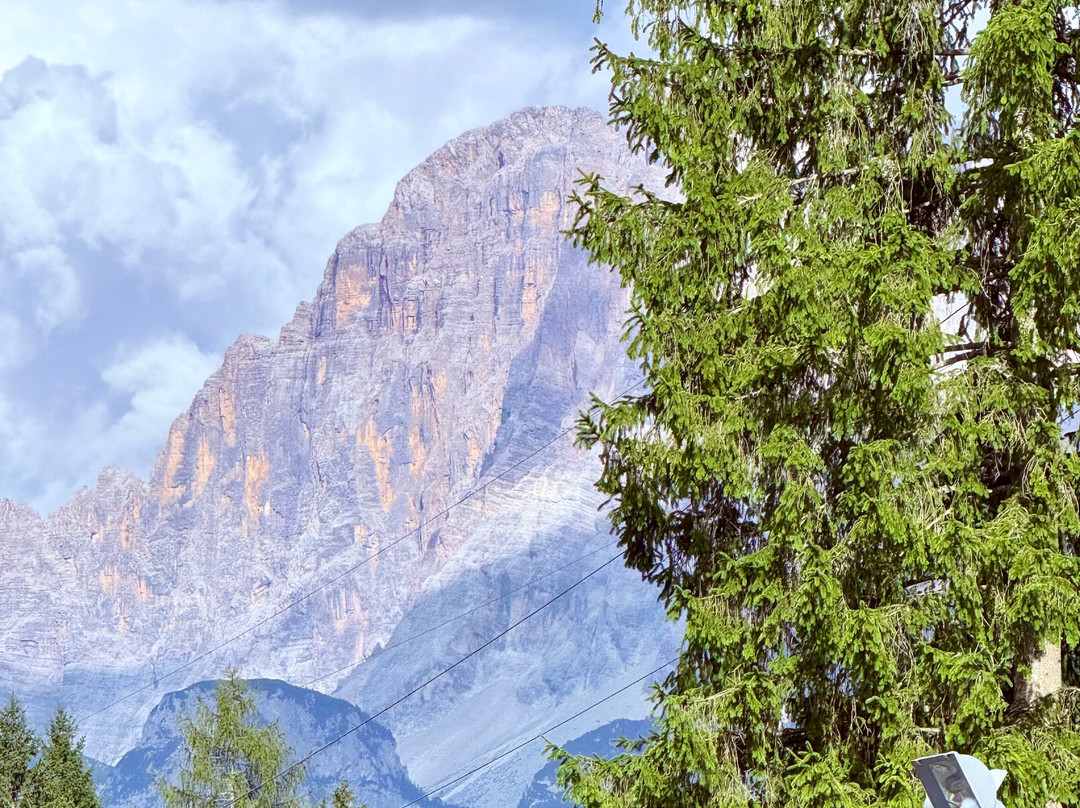 Park Hotel Arnica主图