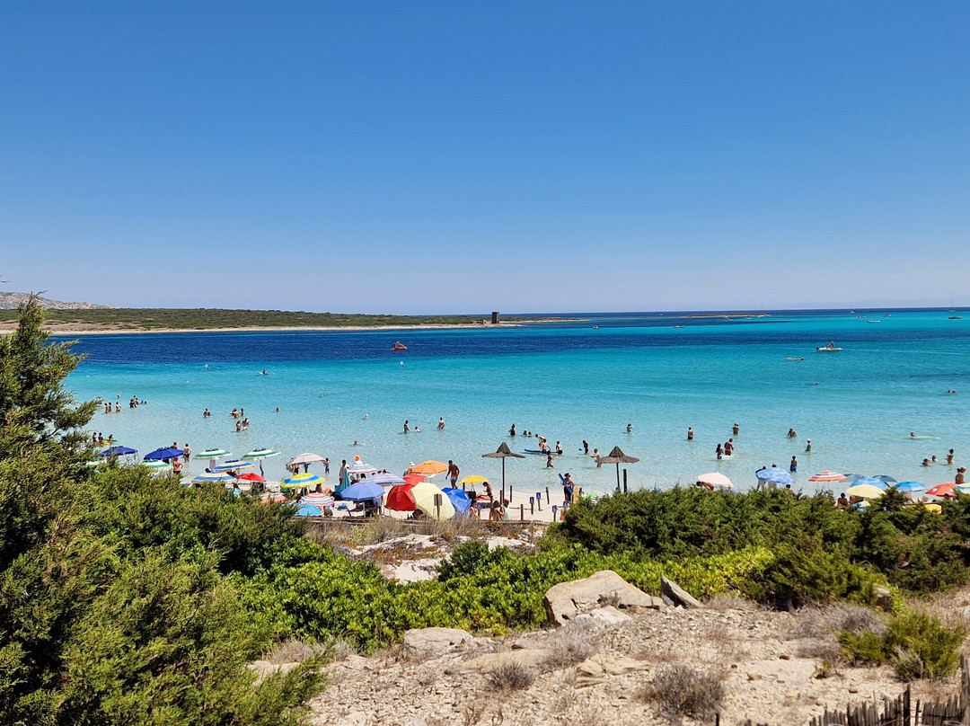 Cala Rosa Club Hotel主图