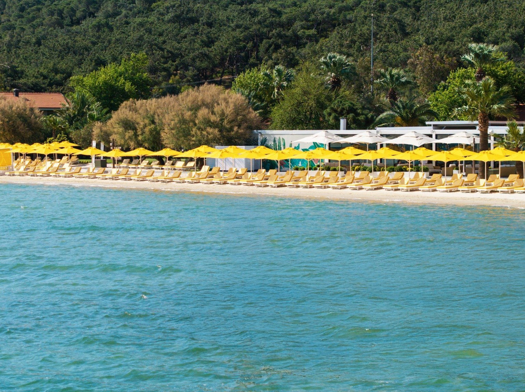 D Resort Ayvalik主图