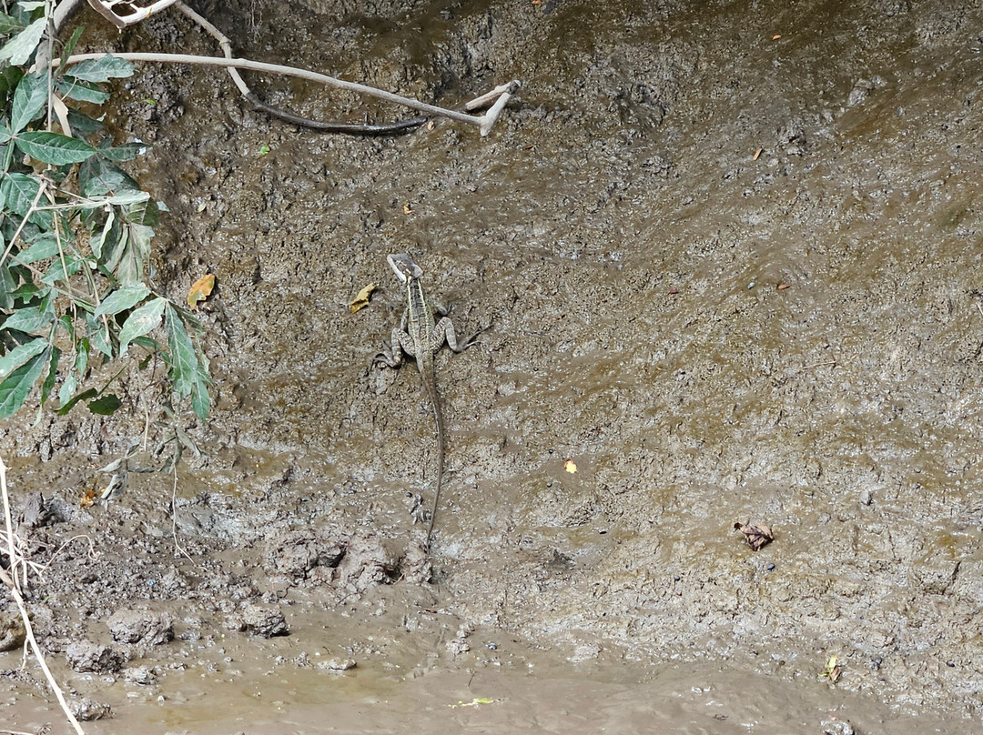Water And Land Activities-Playa Panama必去景点