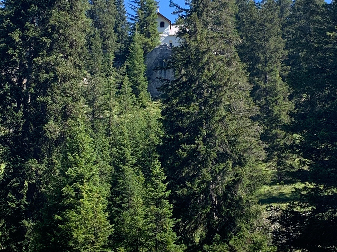 Escursione Estiva: Malga San Silvestro e Cappella di San Silvestro-多比亚科必去景点