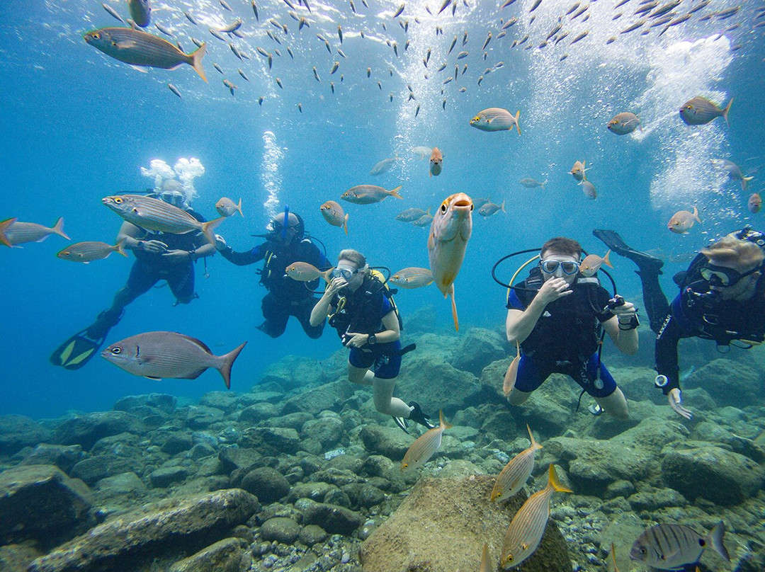 Aquarius Dive Center-阿罗纳必去景点