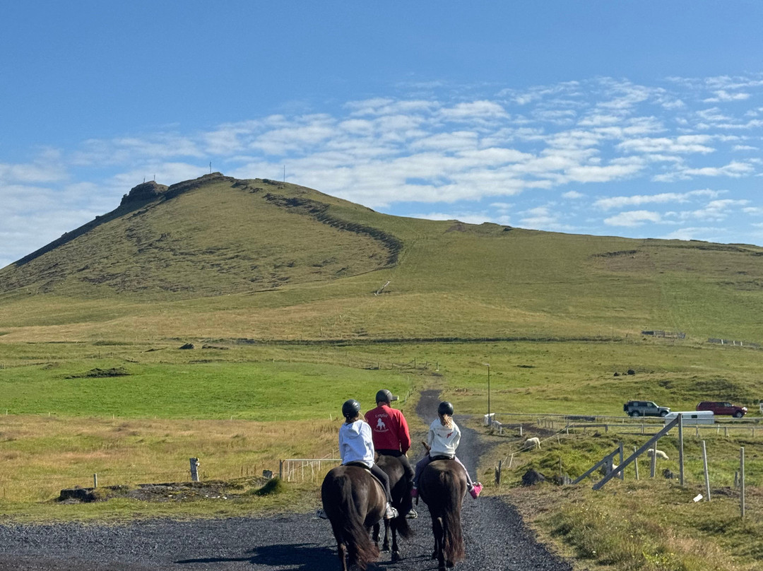 Lyngfell Stables-韦斯特曼纳群岛必去景点