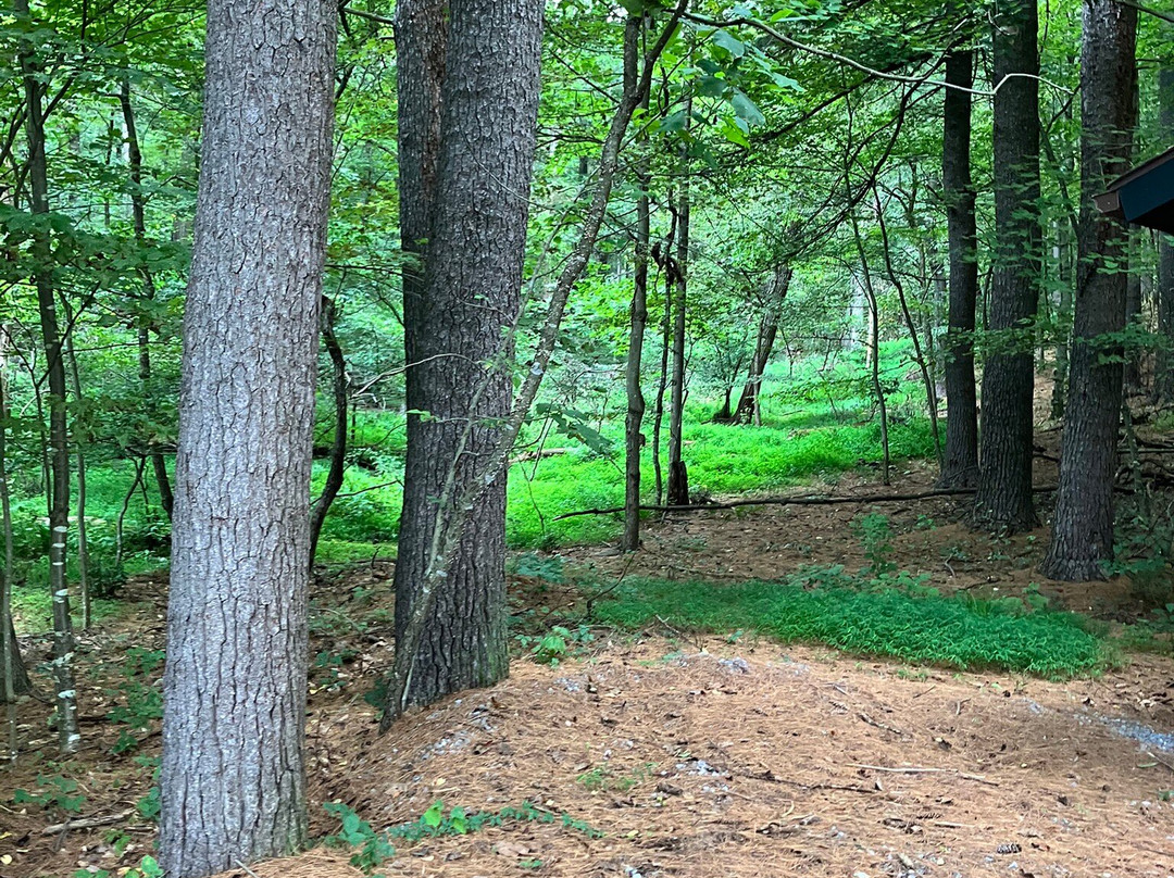 Colonel Denning State Park-Newville必去景点