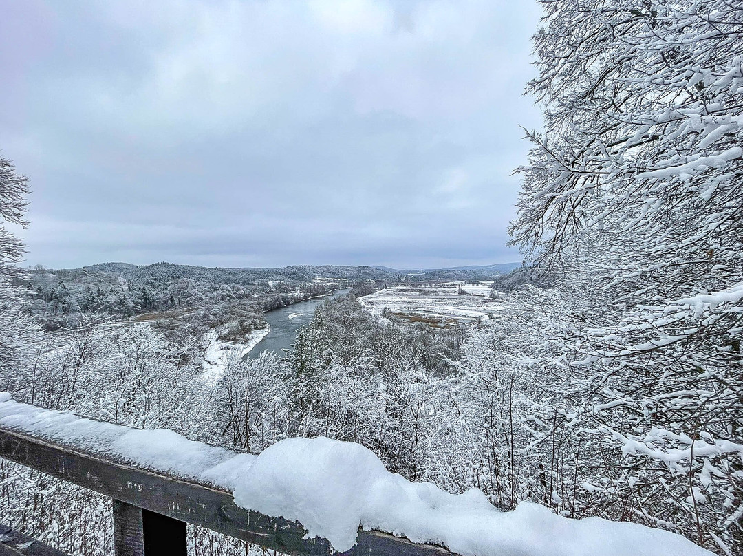 Ruiny Zamku Sobień-Zaluz必去景点