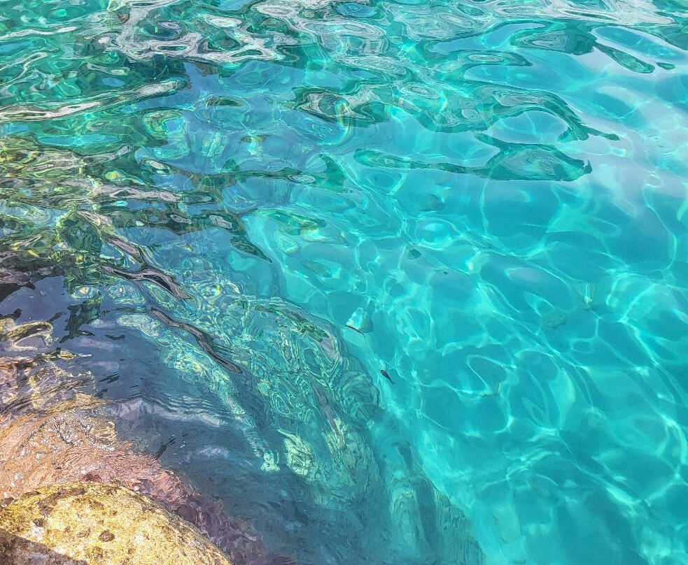 欧滕西亚酒店主图