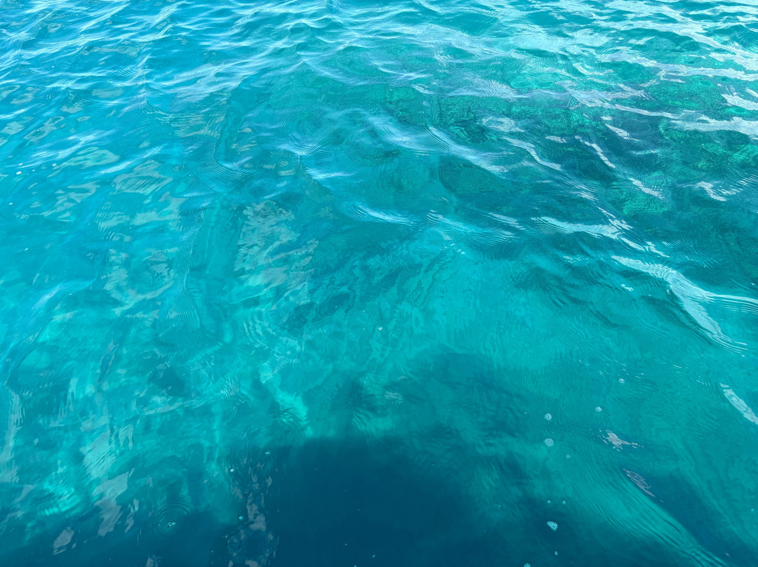 Oceano Ponza Experience - Cosmo Dies-Ponza必去景点