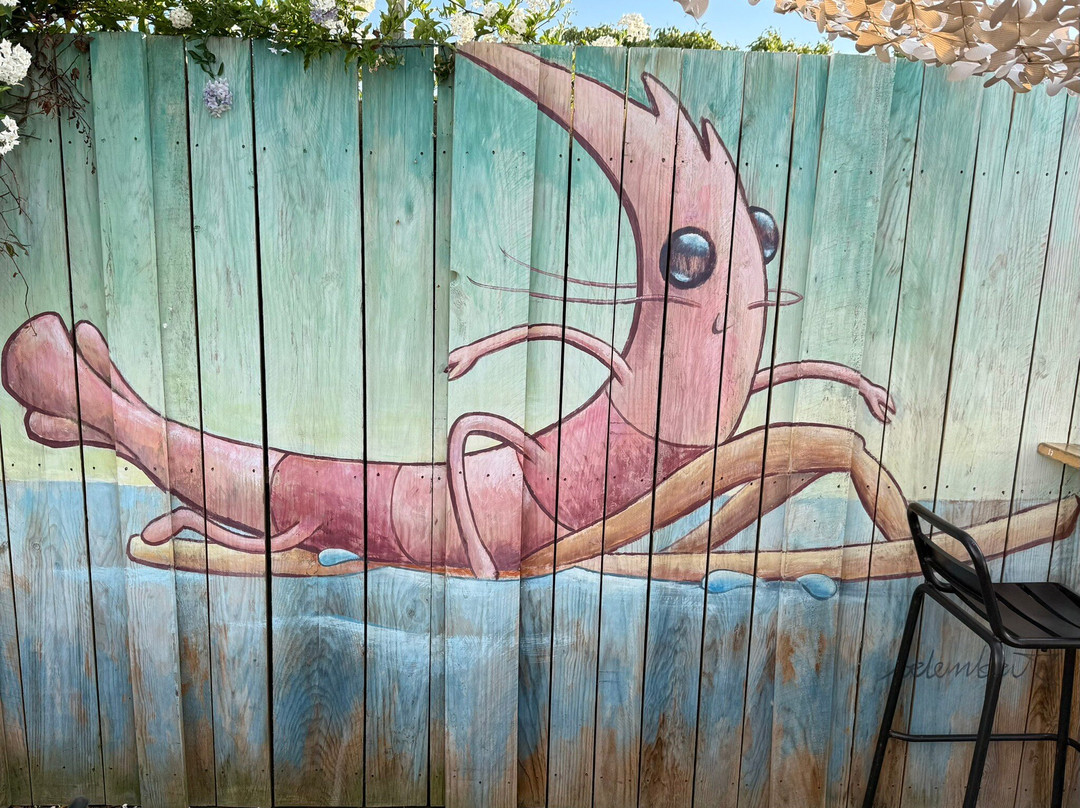 Crevettes Et Claquettes