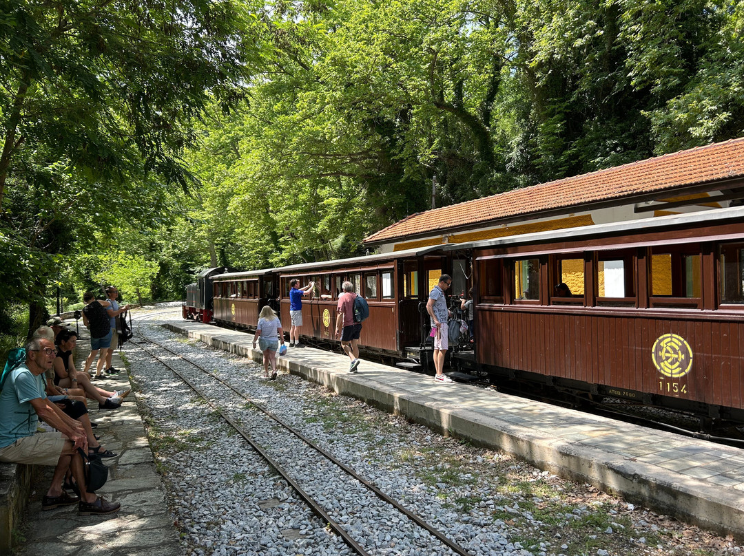 Ta Xelidonakia主图