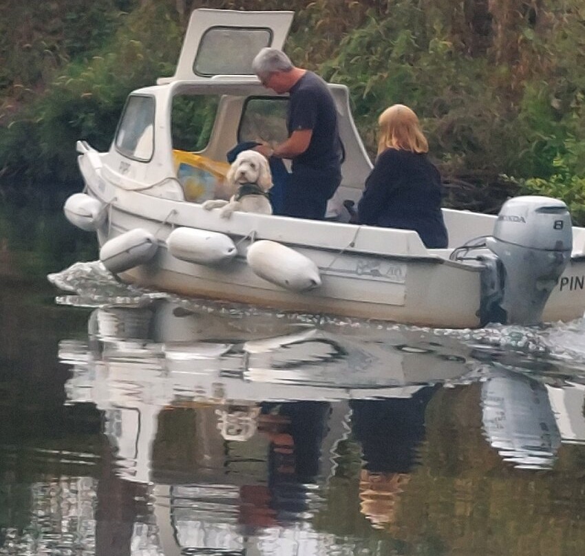 Severn Expeditions Day Boat Hire-Upton upon Severn必去景点