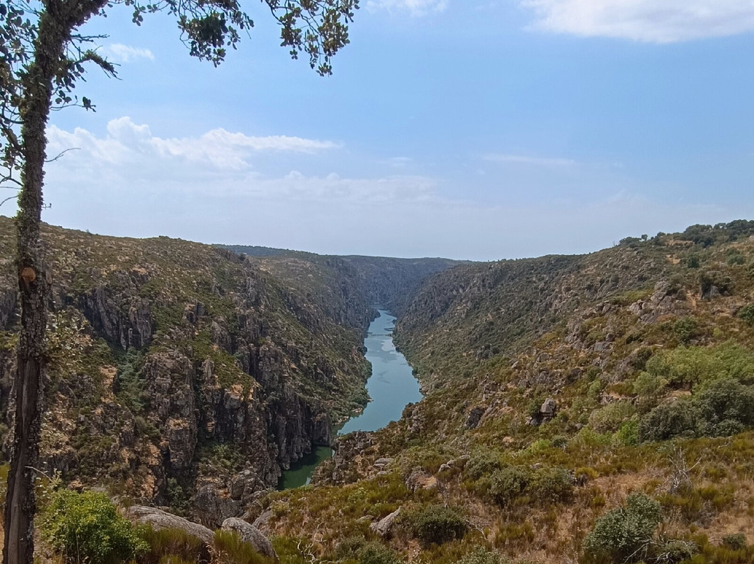 Miradouro do Picote-Picote必去景点