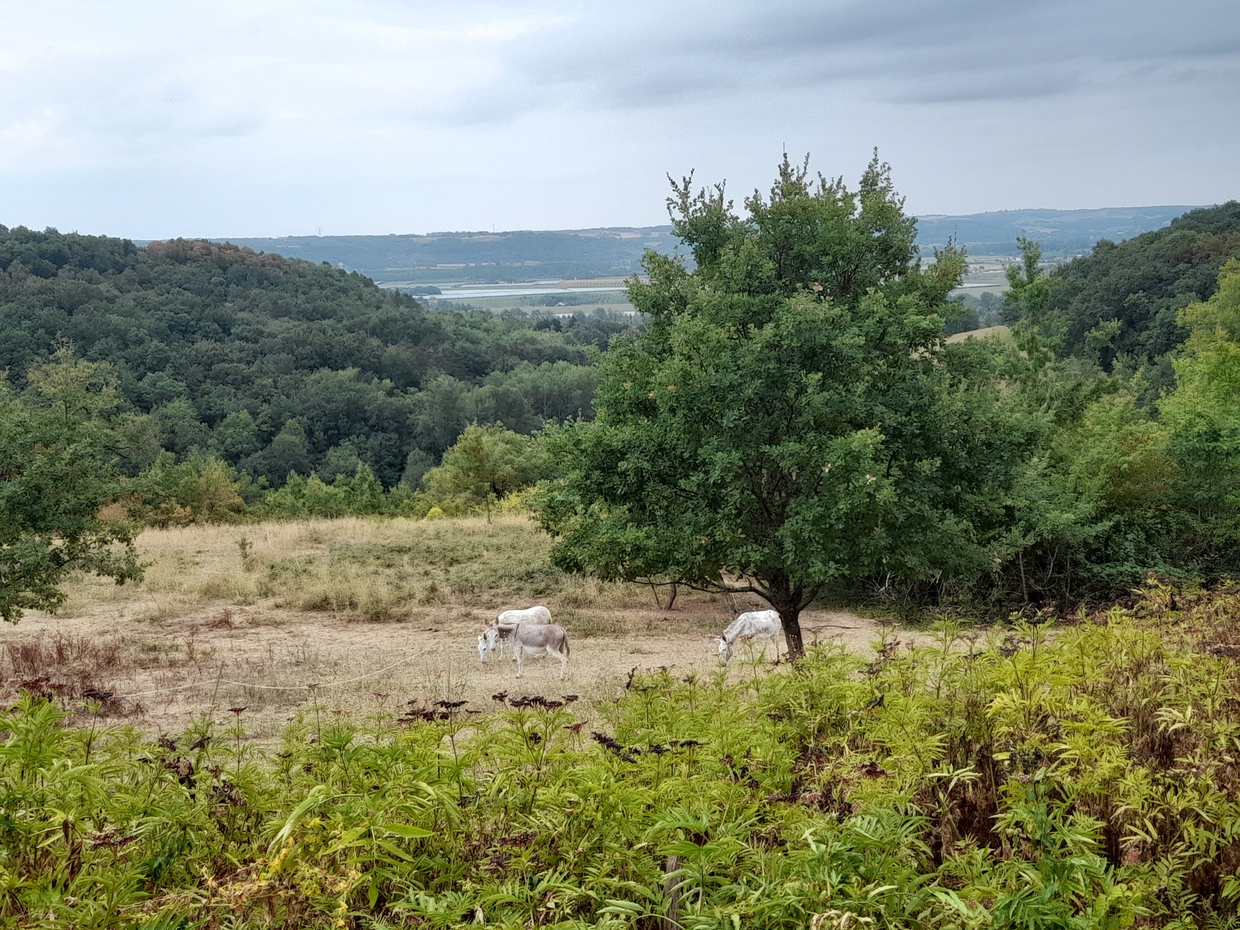 Les Terrasses De Bessou-官方
