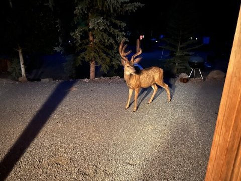 Pleasant View Resort-官方