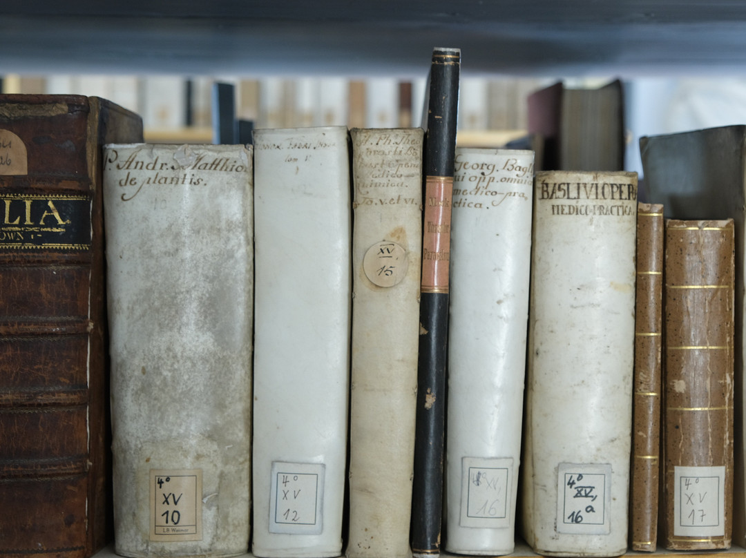 Duchess Anna Amalia Library-魏玛必去景点