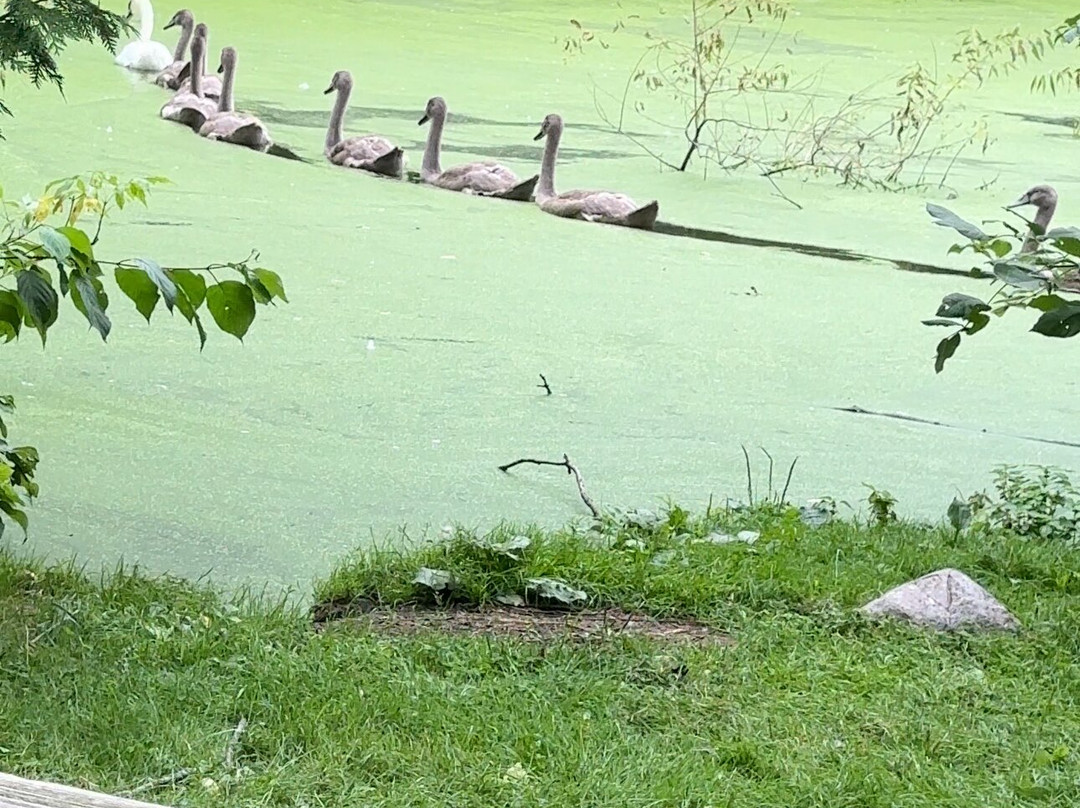 Elmvale Jungle Zoo-Elmvale必去景点