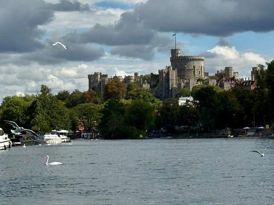 Windsor Duck Tours-温莎必去景点