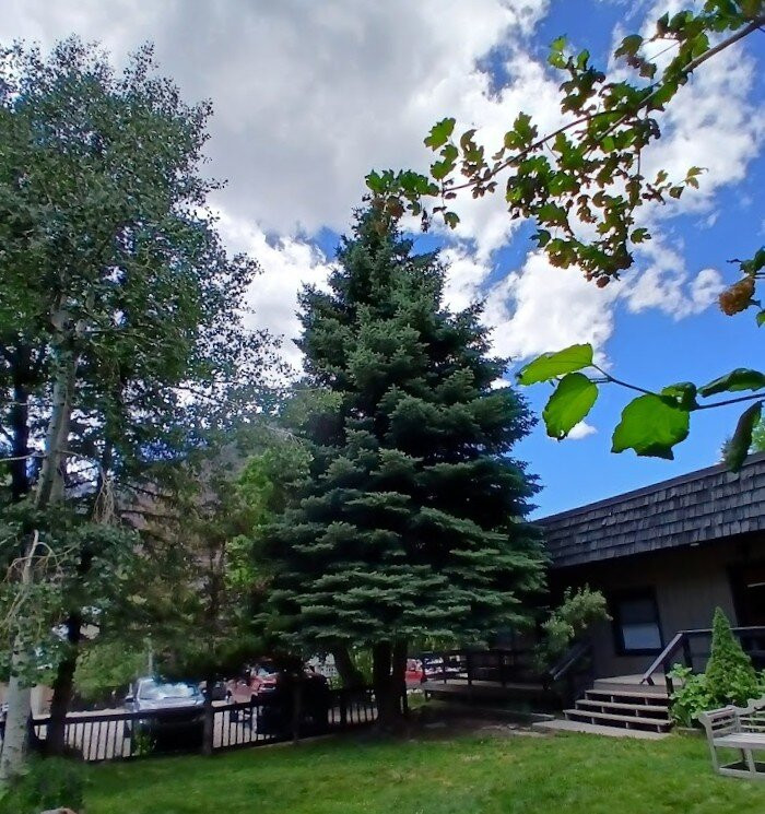 Wiesbaden Hot Springs Spa-乌雷必去景点