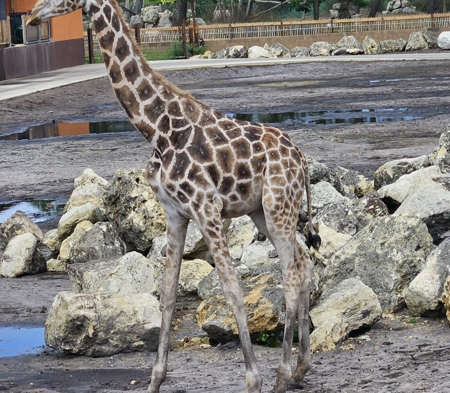 Zoo Bassin d'Arcachon-拉泰斯特德比克必去景点