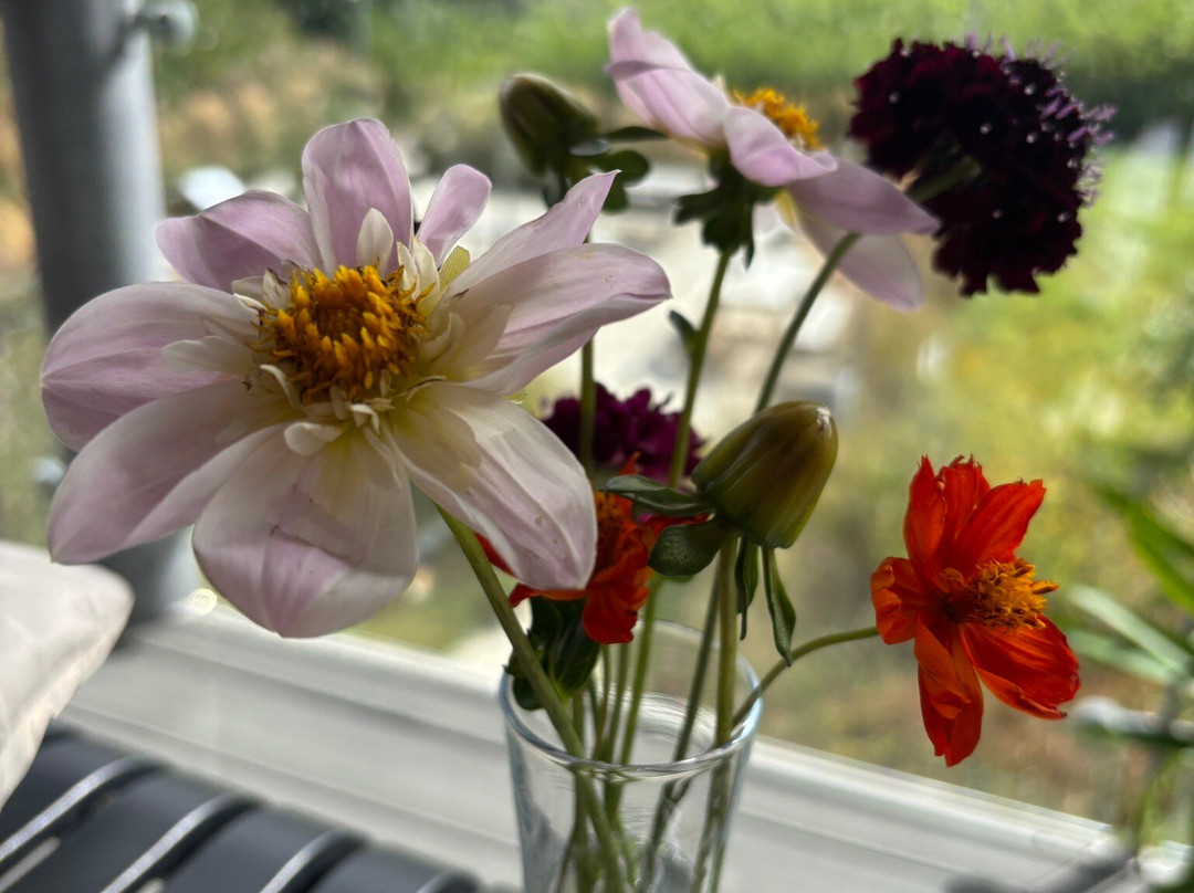 Trevibban Mill Vineyard & Orchard-Wadebridge必去景点