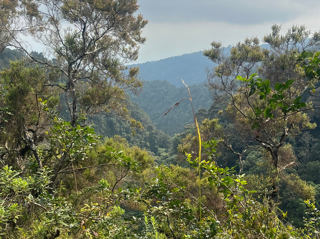 Mount Rungwe-Tukuyu必去景点
