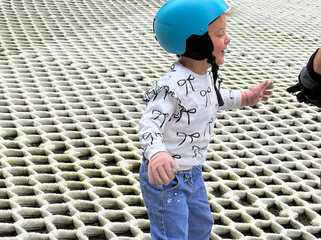 Telford Snowboard and Ski Centre-特尔福德必去景点