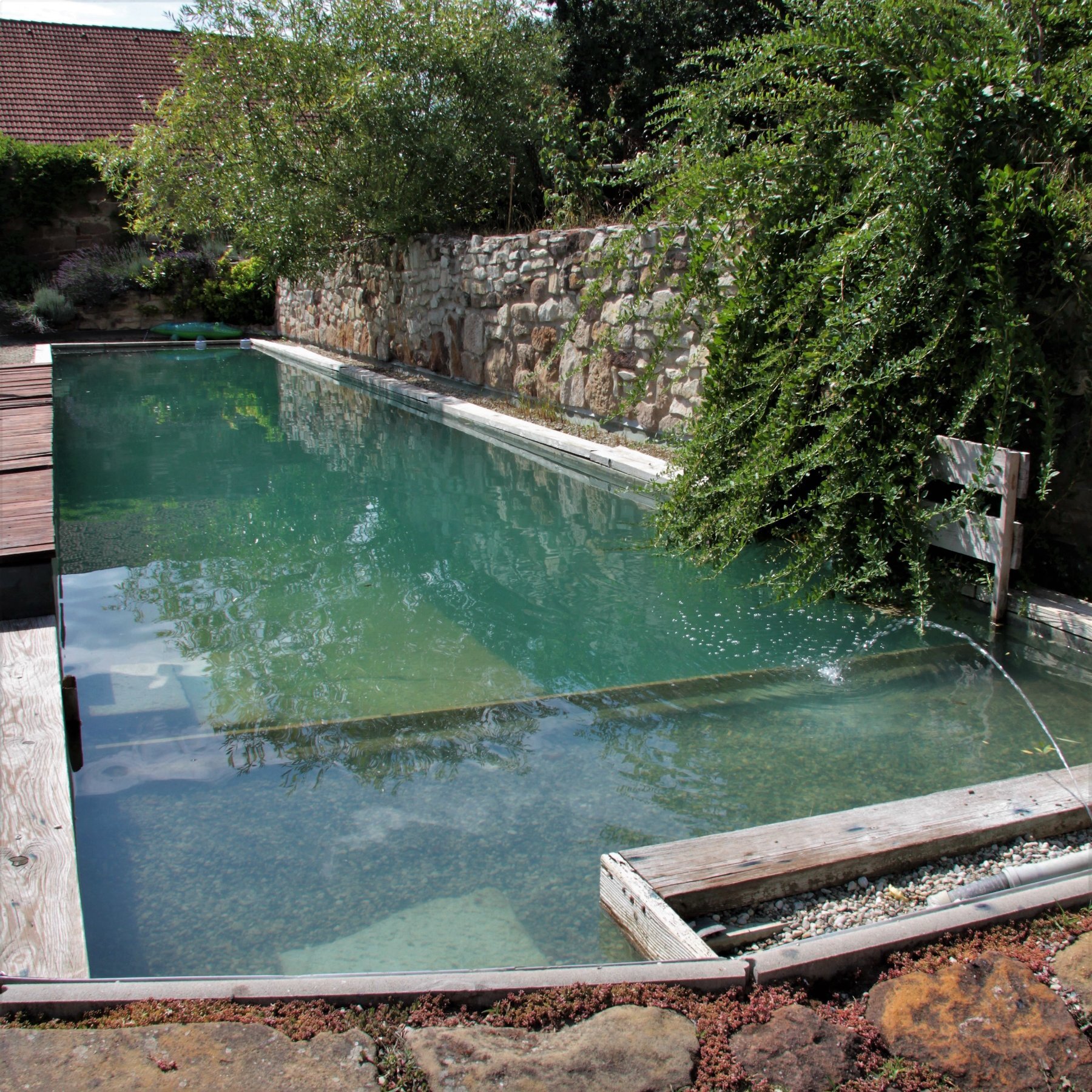 Statek Lunikov-泳池