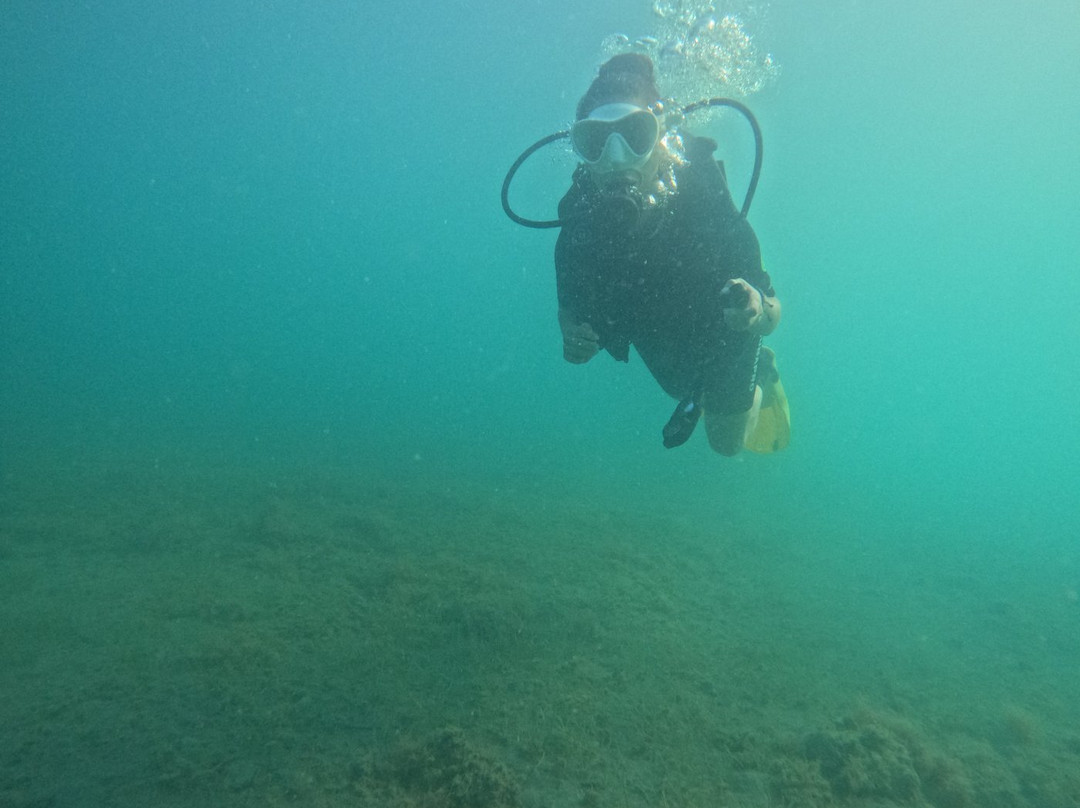 AegeanSeals Diving Center-Khalkis必去景点