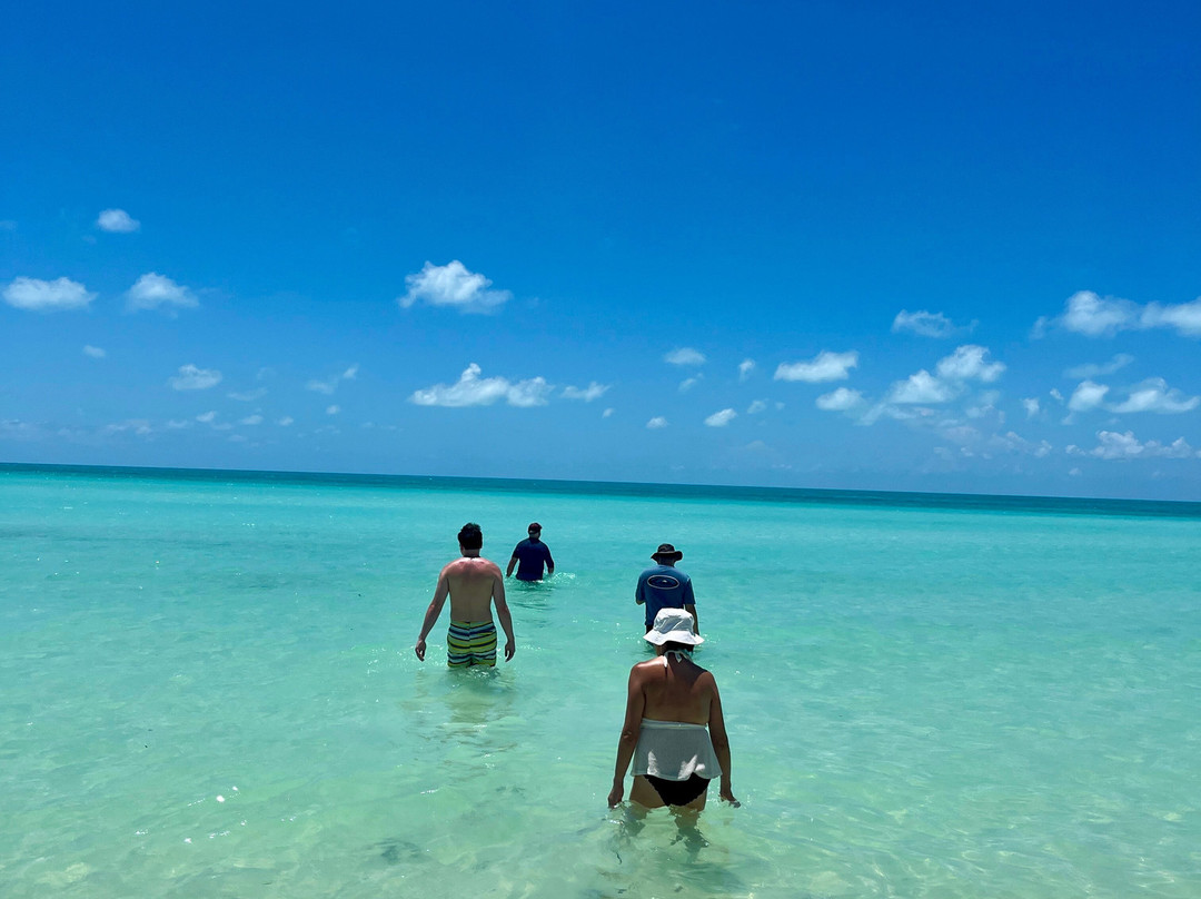 Taylor Bay Beach-普罗维登西亚莱斯必去景点