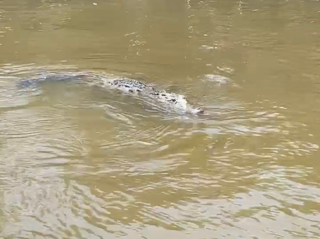 Barrett Adventures-蒙特戈贝必去景点