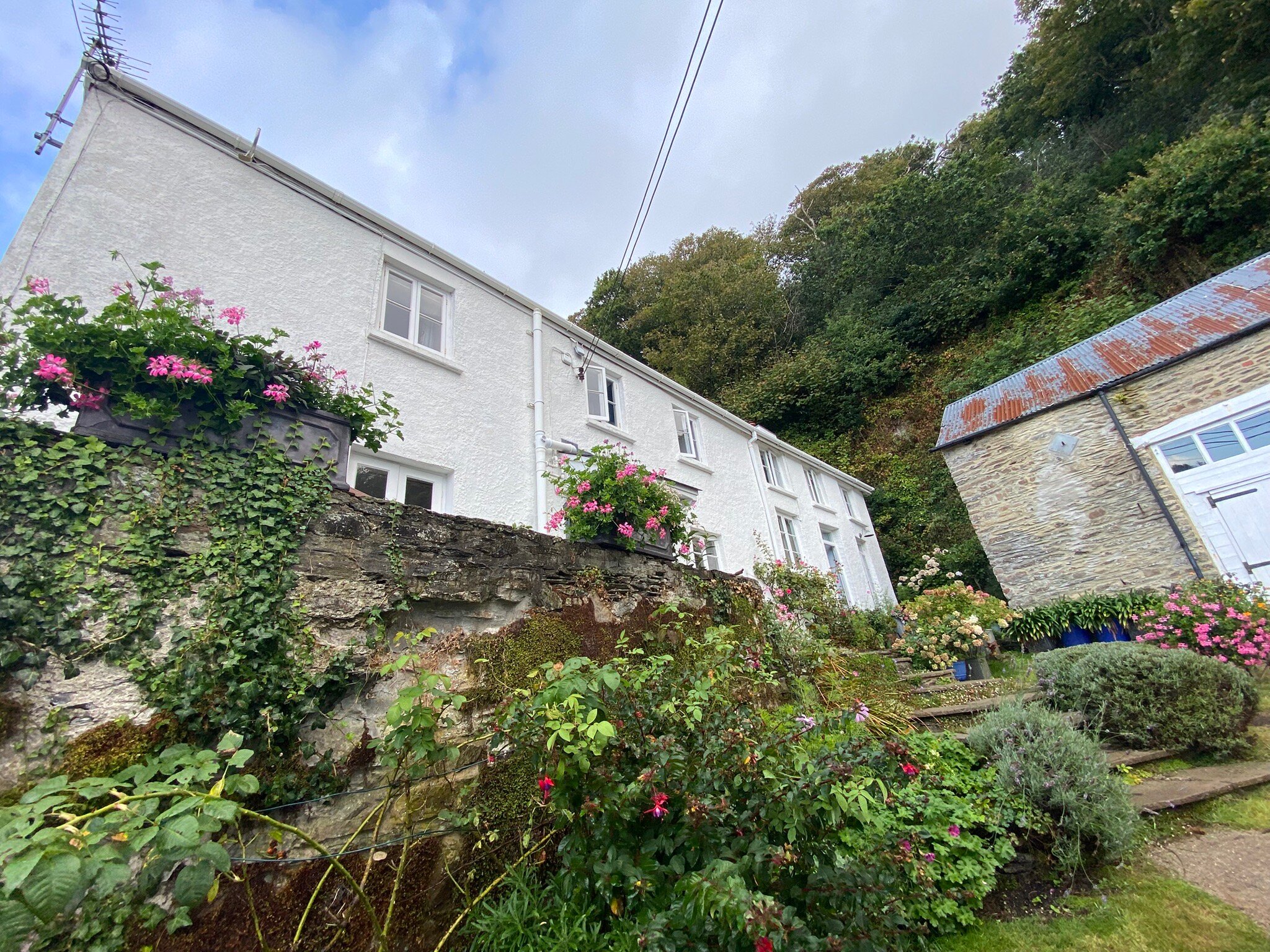 Silver Cottage-官方