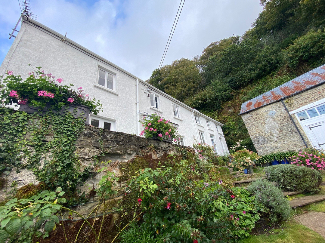 Silver Cottage主图