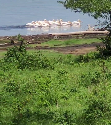 Expeditions Wild Jungle-Karen必去景点