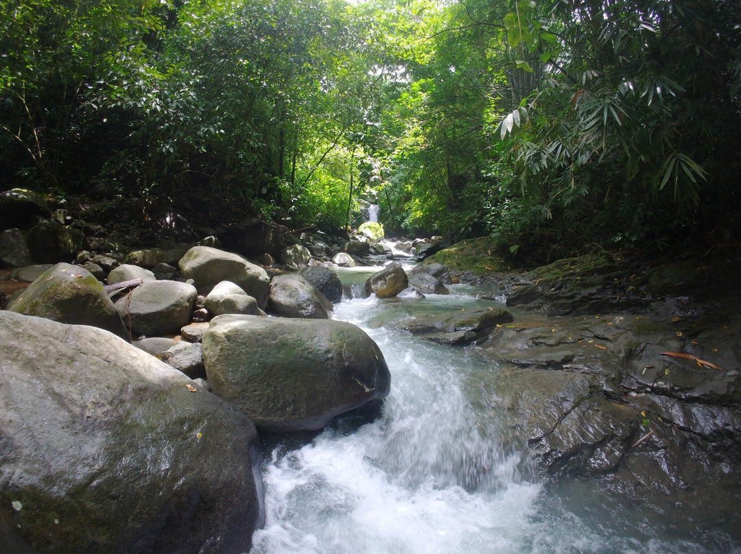 Uvita Waterfall-乌维塔必去景点