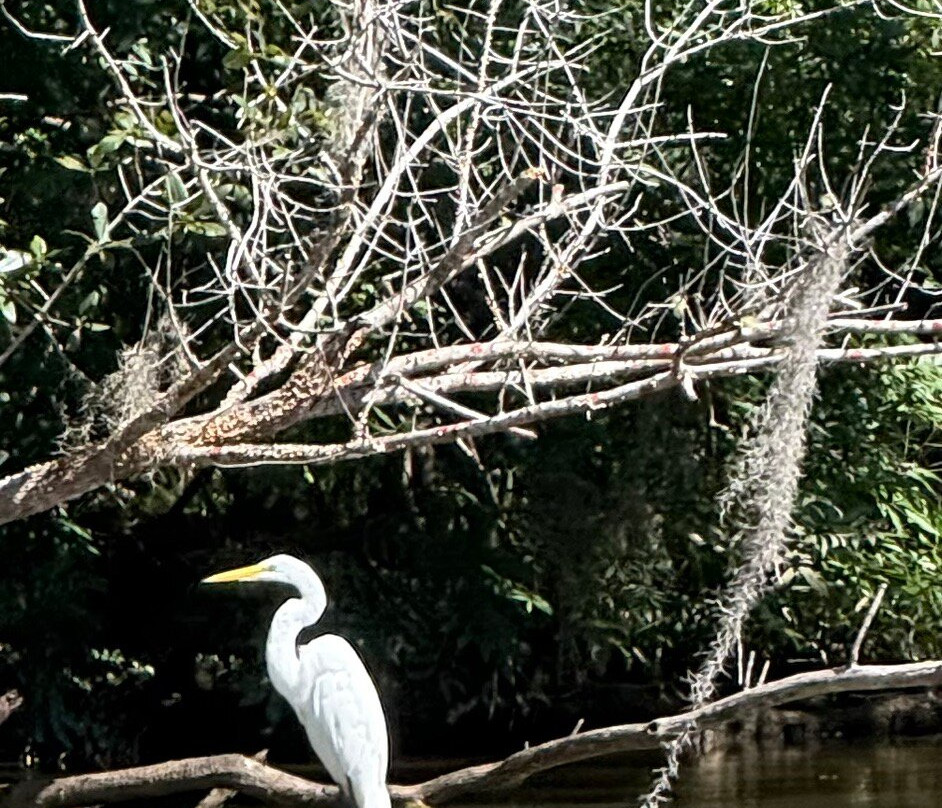 Backwater Tours-圣罗萨海滩必去景点