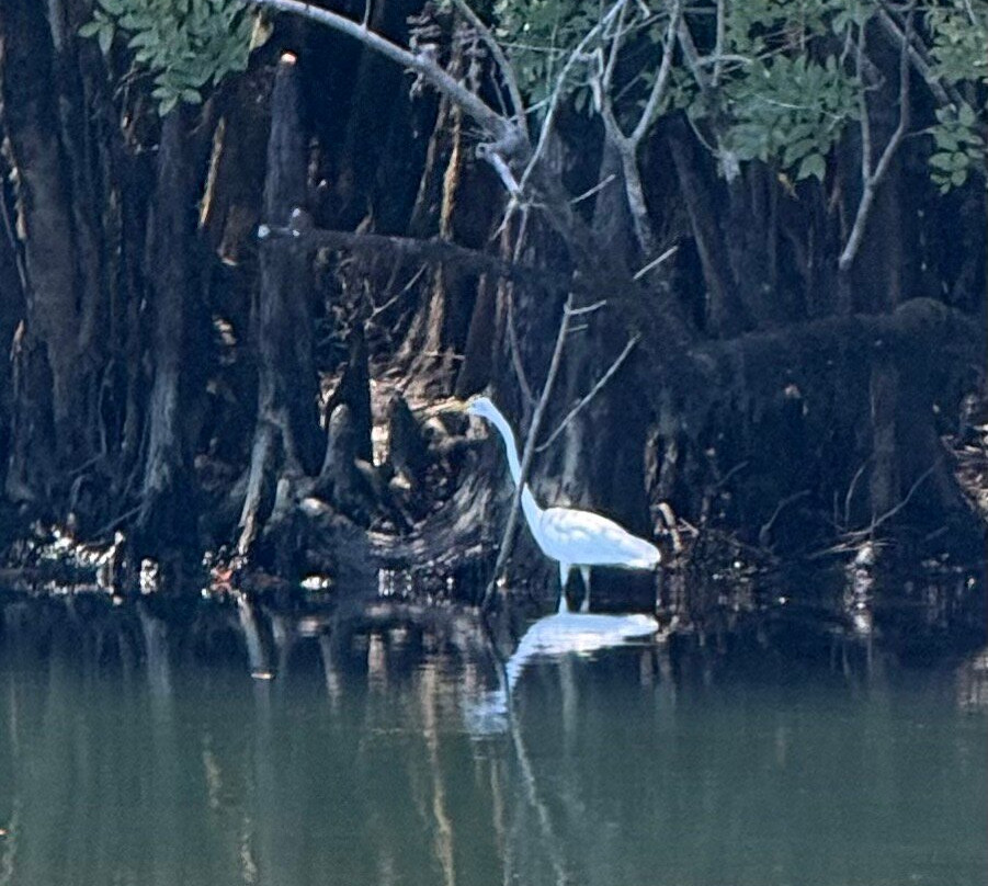Backwater Tours-圣罗萨海滩必去景点
