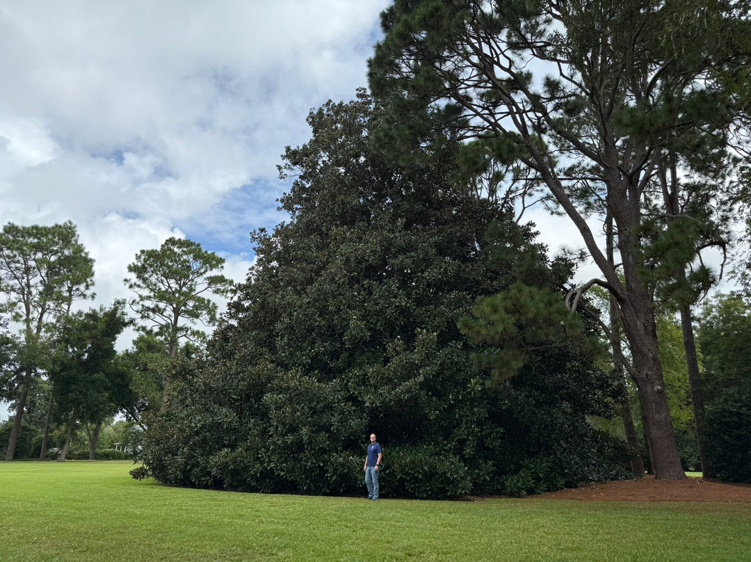 Lake Waccamaw State Park-卡罗莱纳州必去景点